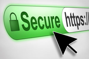 seguridad online